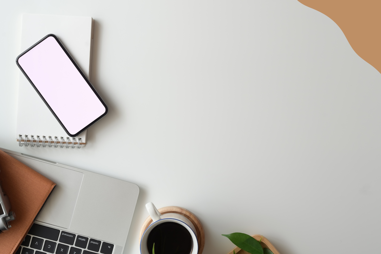 Amazon SPN Partner Sponsored Products Mastery Sponsored Brands & Store Optimization Amazon DSP & Advanced Scaling Amazon Listing Optimization