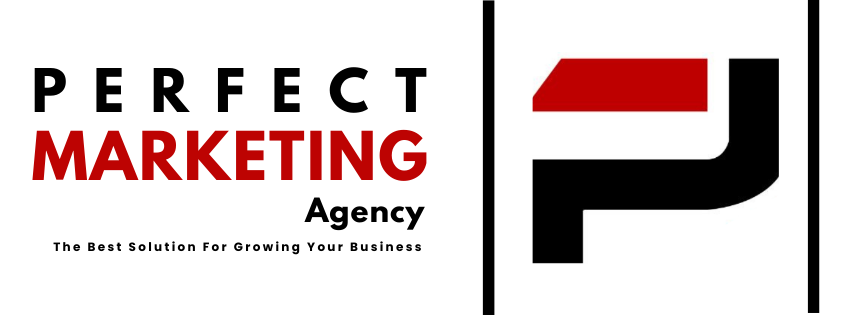 Perfect Marketing Agency in India